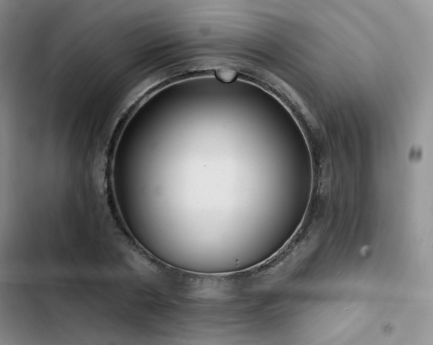 X0000102790786200808181258