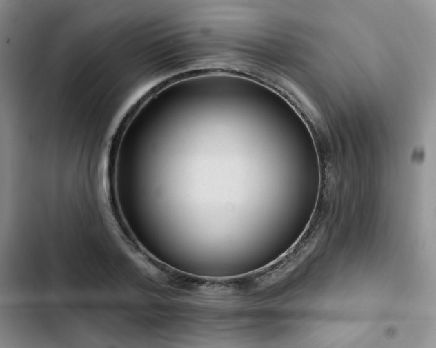 X0000102790788200808181258