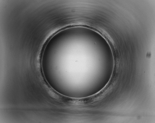 X0000102790789200808181258