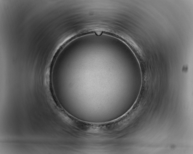 X0000102790790200808181258