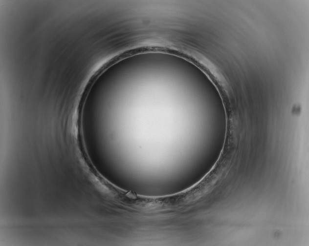 X0000102790791200808181258