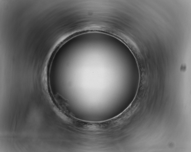 X0000102790792200808181258