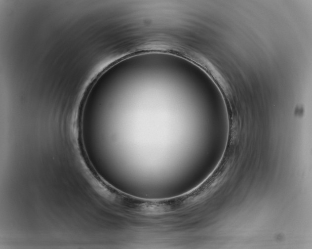 X0000102790795200808181258