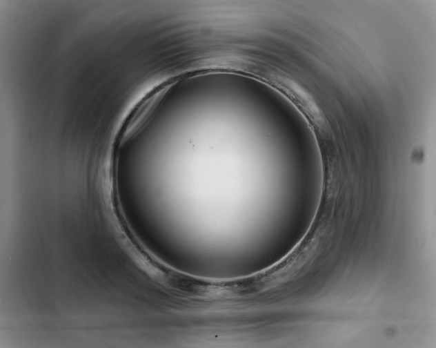 X0000102790796200808181258