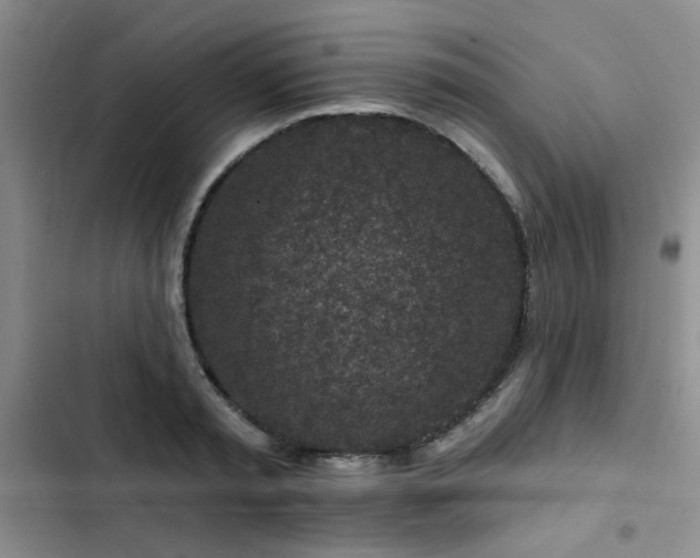 X0000102790797200808181258