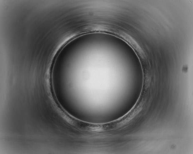 X0000102790798200808181258