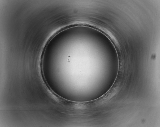 X0000102790799200808181258
