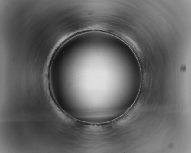 X0000102790800200808181258