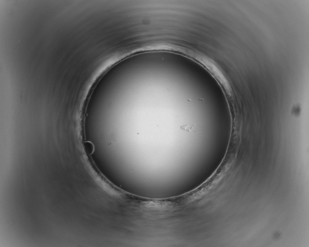 X0000102790805200808181258