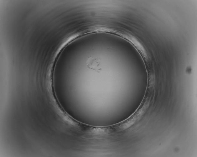 X0000102790806200808181258
