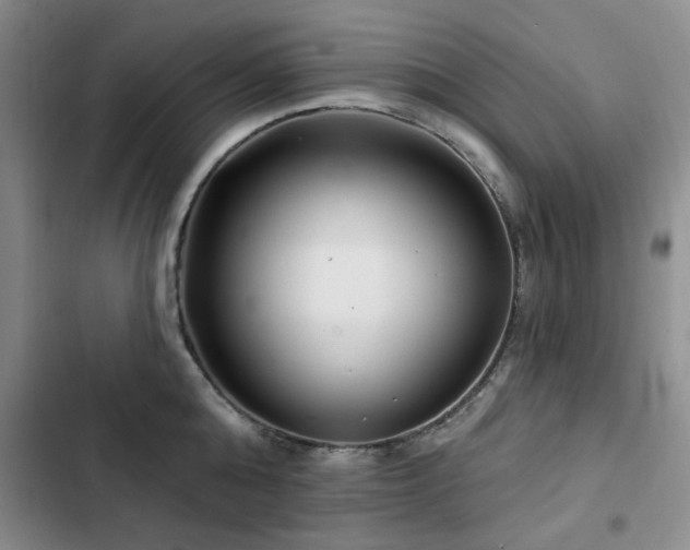 X0000102790808200808181258