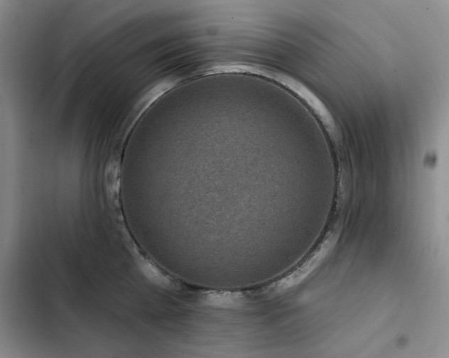 X0000102790809200808181258