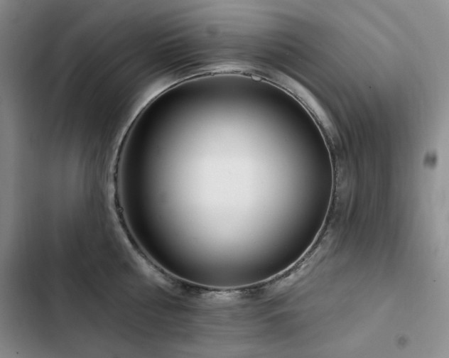 X0000102790810200808181258