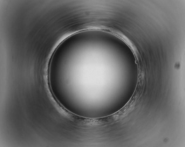 X0000102790811200808181258