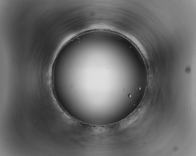X0000102790815200808181258
