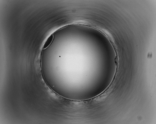 X0000102790816200808181258