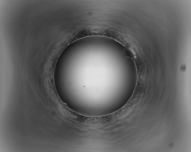 X0000102790817200808181257