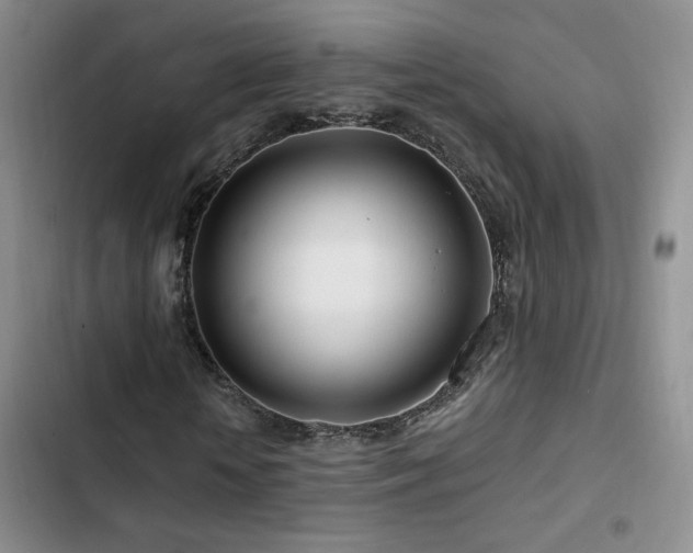 X0000102790818200808181257