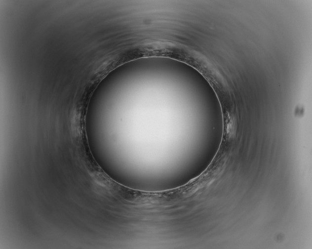X0000102790819200808181257