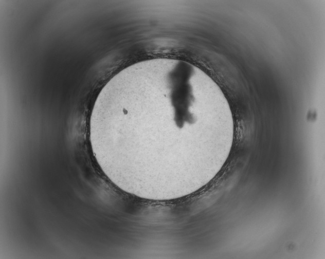 X0000102790820200808181257