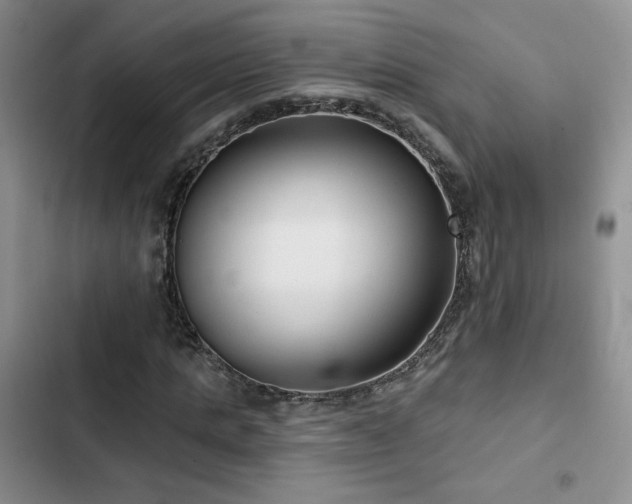 X0000102790821200808181257