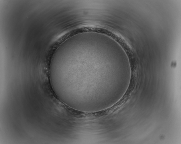 X0000102790822200808181257