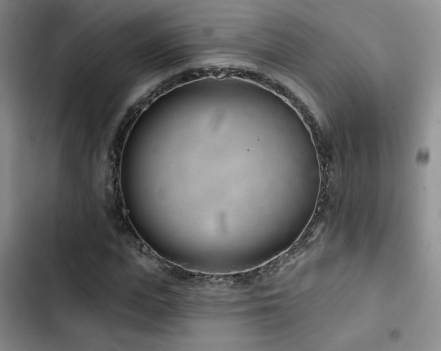X0000102790823200808181257