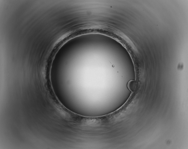 X0000102790826200808181257