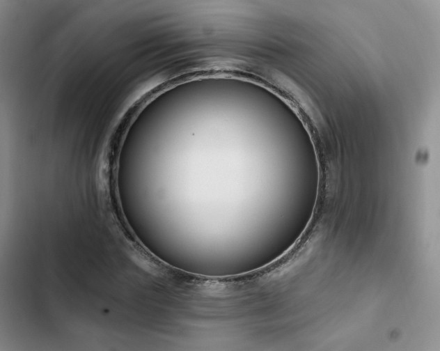 X0000102790827200808181257
