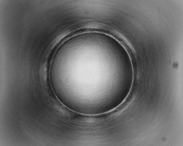X0000102790829200808181257