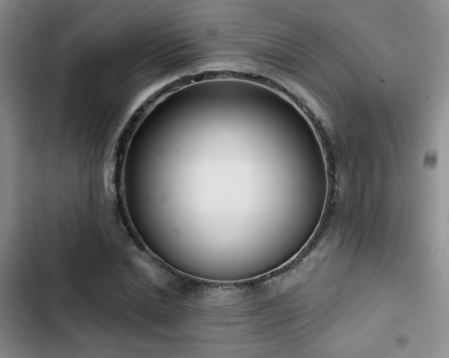 X0000102790830200808181257