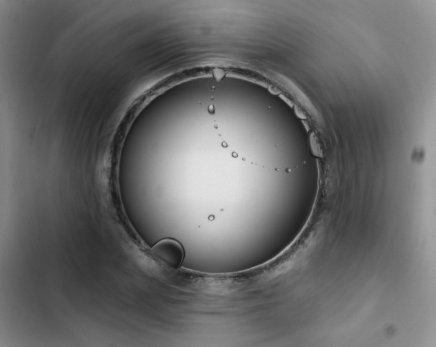X0000102790831200808181257