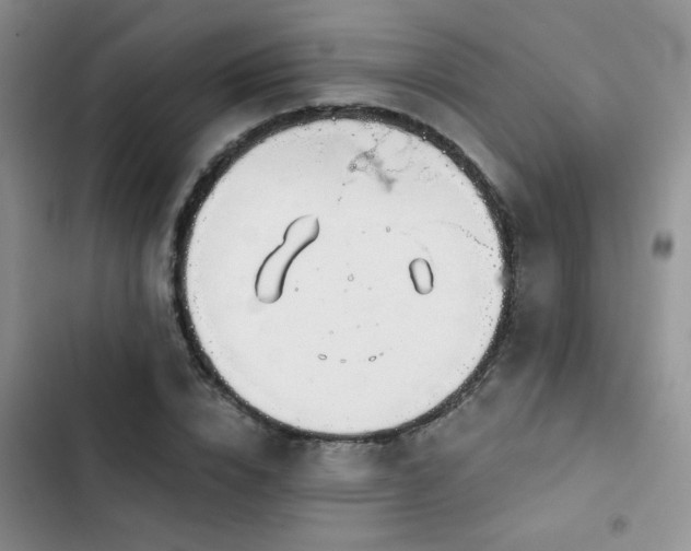 X0000102790832200808181257
