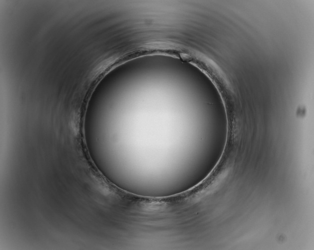 X0000102790833200808181257