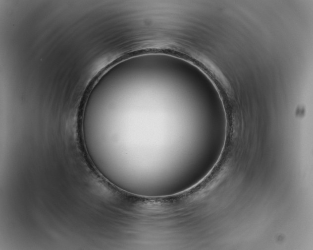 X0000102790834200808181258