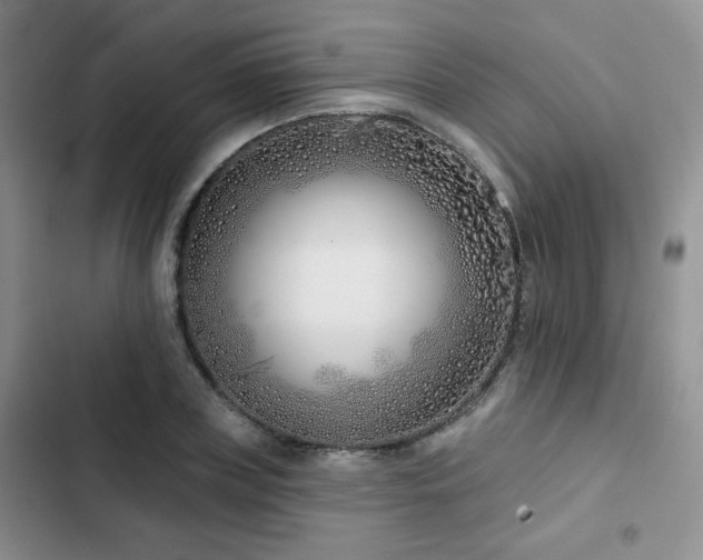 X0000102790835200808181258