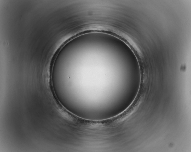 X0000102790837200808181258