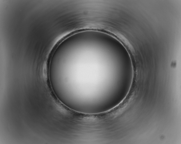 X0000102790838200808181258