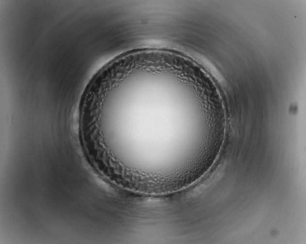 X0000102790839200808181258