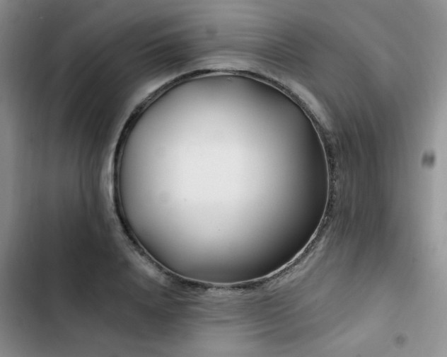 X0000102790840200808181258