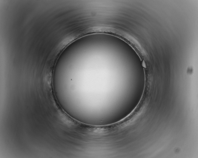 X0000102790841200808181258