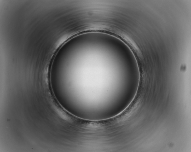 X0000102790842200808181258