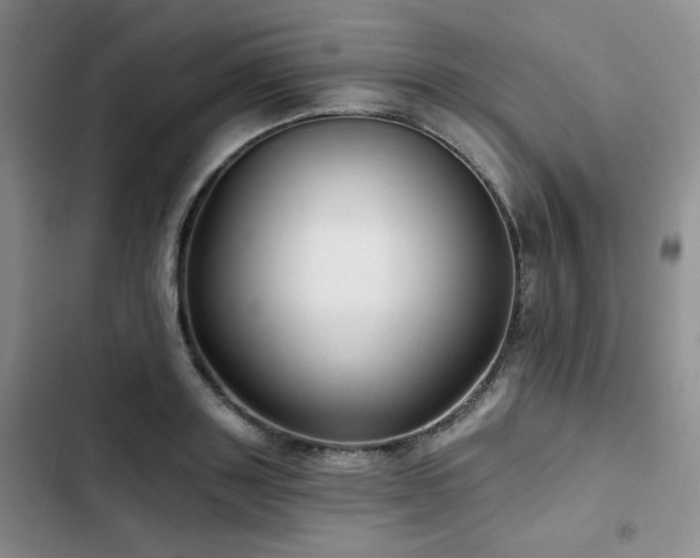 X0000102790843200808181258