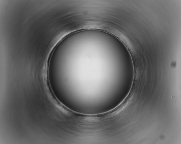 X0000102790844200808181258