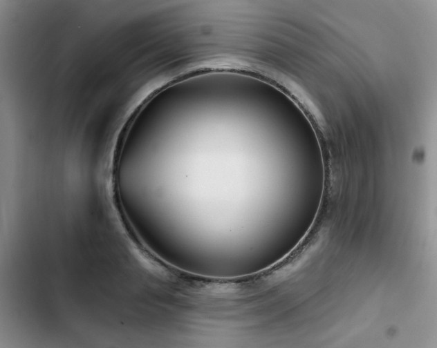 X0000102790845200808181258