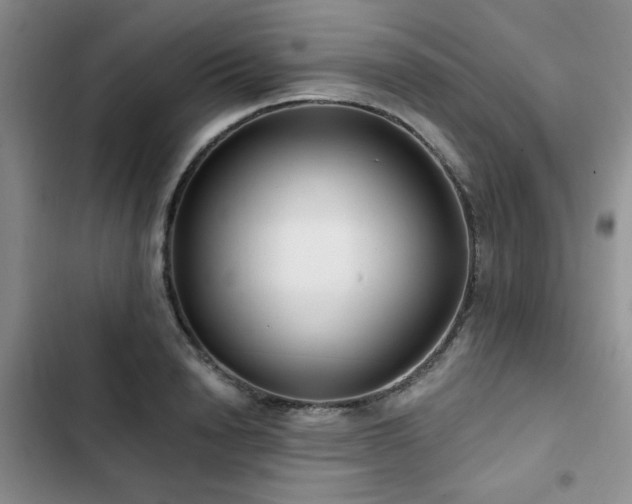 X0000102790846200808181258