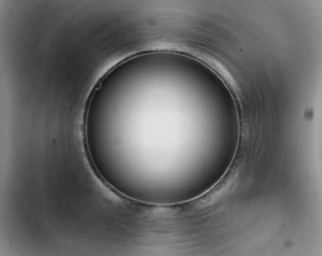 X0000102790847200808181258