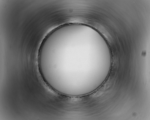 X0000102790848200808181258