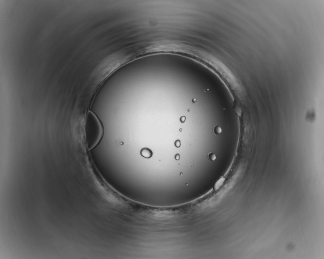 X0000102790849200808181258