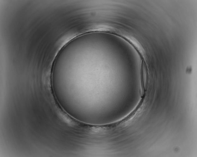 X0000102790850200808181258